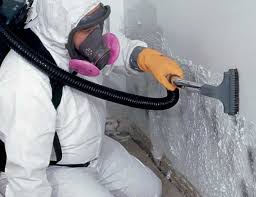 Mold Documentation for Insurance Claims in Taylor, TX